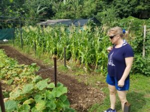 Read more about the article Aranui 5 Cruise to Pitcairn: Mangareva, Gambiers