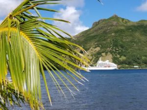 Read more about the article Aranui 5 Cruise to Pitcairn: Rapa, Australs