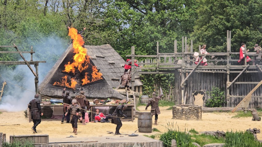 Vikings
