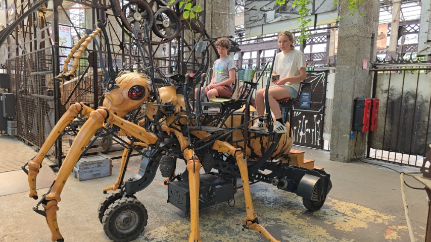 Robotic Ant