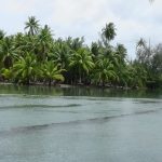 Huahine Fish Traps