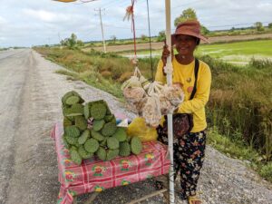 Read more about the article Day 6: A Flat Tire in Cambodia and a Google Maps Wrong Turn