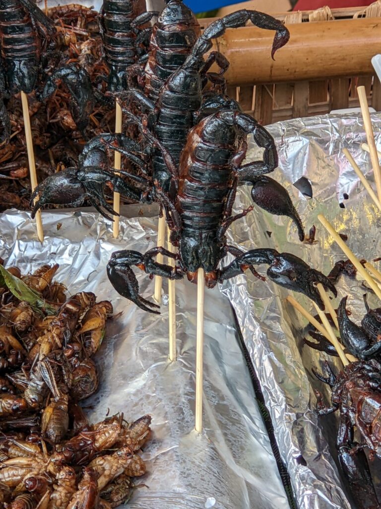 Scorpion Skewer