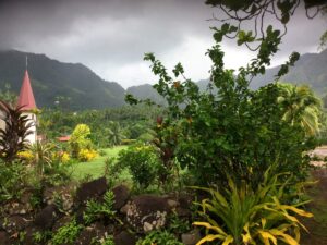 Read more about the article Aranui 5 Day 4: The Principal Who Saved My Drone