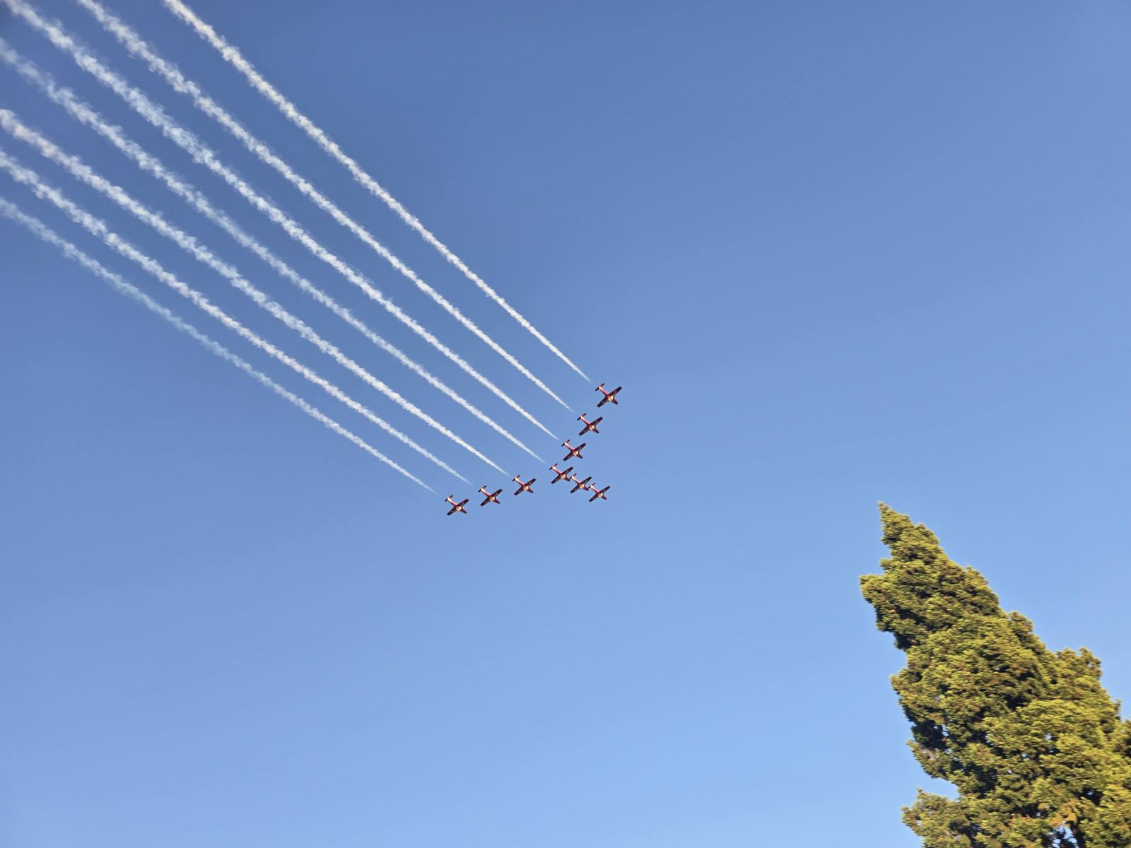 Canadian Forces Snowbirds flying over Victoria