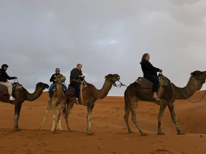 Abu Simbel — Day 11